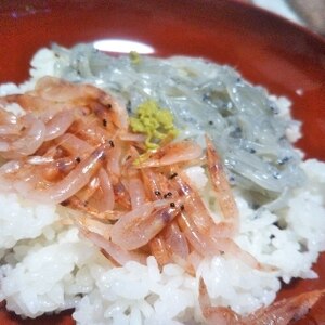 静岡レシピ